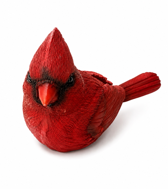 697d04eba829f107792df8ab_088ad2c5-7590-4e08-ba97-855886061c3b_1785514688165.png