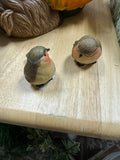 697d04eba829f107792df8ab_img-6344_1785518464487.jpeg
