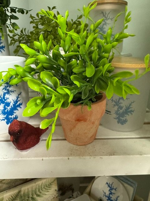 6a6b62dcba6bd833113b3ca6_img-6549_1786475547833.jpeg